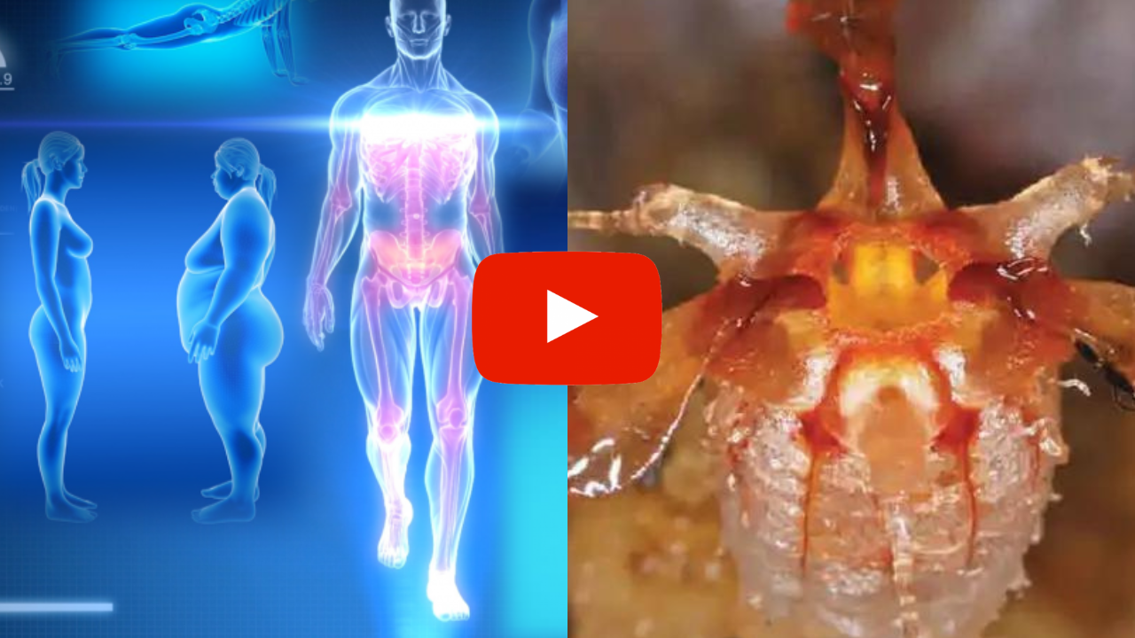 Weigt Loss Woman LP Image(1) new scientific discovery on fat dissolving substance